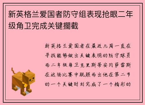 新英格兰爱国者防守组表现抢眼二年级角卫完成关键攔截